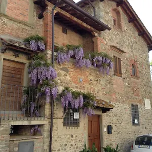 Il Glicine , Laterina Italia